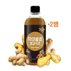 악마발효 발효 생강식초 비니거 유기산 비타민c 진저롤 쇼가올 유기농 원당 미생물 현미 막걸리식초 지방세포 복부지방 뱃살 기초대사율 효능, 2병