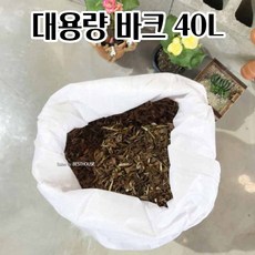 40인치did