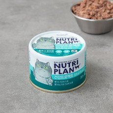 노플랜프로젝트