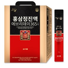 (NEW) 홍삼정진액 에브리데이 365 스틱 10g x 100개입, 2개