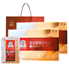 정관장 6년근 홍삼활력 60포 2400ml 플러스 쇼핑백 연말 설 명절 부모님선물 1개, 1세트