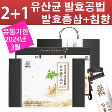 마임효본정