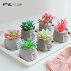 에이치티코퍼레이션 분재 인테리어조화 미니 책상 다육식물 선인장, 1개, 그린 불수연 분재