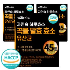 자연속 하루 효소 곡물 발효 효소 유산균 45종, 90g, 3개