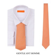 나비넥타이수동