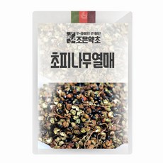 굿허브 초피나무열매(제피 천초) 300g, 단품