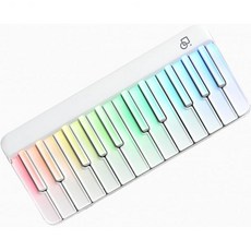 초보자를 위한 포푸피아노 피아노 키보드 스마트 LED 키-비주얼 인터랙티브 운동 가이드 온라인 레슨 MIDI 컨트롤러 100개 이상의 코드 256개 톤 폴리포니 휴대용 키