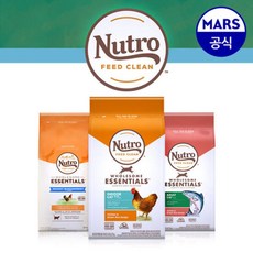 뉴트로초이스캣
