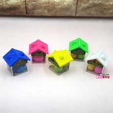 공룡알 키우기 1BOX (1000원x20EA)