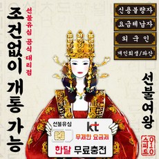 스피드010 KT 선불폰 선불 유심 유심칩 무제한 30일 한달 무료충전