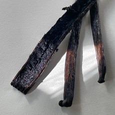 구디바닐라 바닐라빈 고메 A등급 타히티종, 1개입, 1개, 10g - 이미지 3