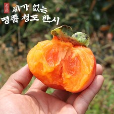 산지직송 청도반시 씨없는 홍시 감, 1개, 2kg 대과