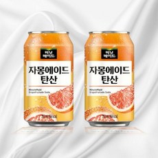 미닛메이드 자몽에이드 탄산 355CAN X24