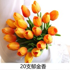 42d77db14b54063e94e23d3e042742d77b865631b69eecd3bb9e15fa9013.jpg