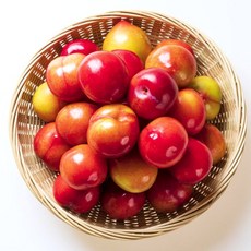 산지직송 최상급 고당도 새콤달콤 자두, 중과, 1개, 1.5kg