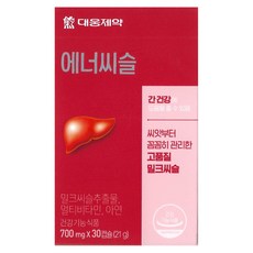 대웅아이스크림메이커