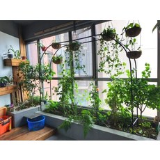 가든 아치 장미 울타리 넝쿨 덩굴 게이트 대문 터널 화단 꾸미기 정원 전원 주택 조경, 블랙고급형 폭 2.3m 높이 1.9m