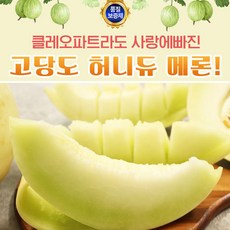메론참외