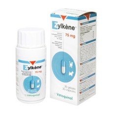 베토퀴놀 질켄 75mg 30정(리뉴얼) 강아지고양이 스트레스 완화제, 1팩