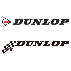 DUNLOP 던롭 타이어 차량용 데칼 튜닝 스티커, 1개, 선택-2그린(대)