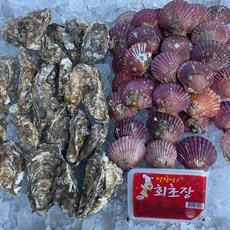 통영바다 시그니처 홍가리비 석화굴 단품 세트, 1세트, 참석화5kg + 홍가리비3kg