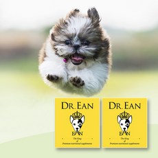  닥터이안 강아지 노령견 노견 영양제 관절 슬개골 심장 기침 종합영양제, 1개 