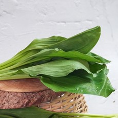 더조은 울릉도종 줄기명이 명이나물 2kg, 단품