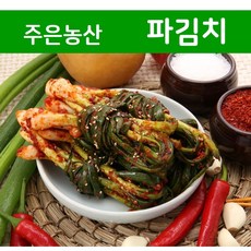 업소용쪽파김치