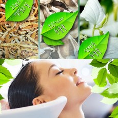 퓨어테라피모링가2종