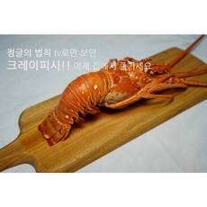 정글의법칙크레이피쉬 2마리1.1kg내외