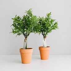 27c946831bdd1be8ee025587accccc291a2740cc05d2087e465d9006f944.jpg