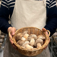 (버섯장인) 친환경 무농약 송화고버섯 표고버섯 송고 송화고 1kg 버섯피클, 상급, 1개