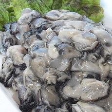 통영 생굴 1kg(소굴/알굴) 생식용 횟감용 작은굴 햇굴 맛있는굴, 1개