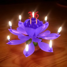 STOLIVING 生日快樂蠟燭蓮花旋律禮物派對用品 + 數字禮帽 19 件套, 紫色