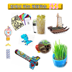 리얼진주조개체험키트