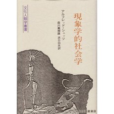 현상학 사회학 (문화 인류학 시리즈), 단일옵션, 단일옵션