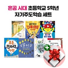 초등자기주도학습법책