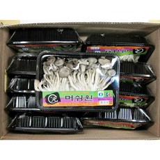 참느타리버섯 200g 10개
