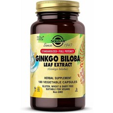 Solgar Ginkgo Biloba Leaf Extract 솔가 징코 빌로바 180정