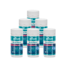 브레인파워빌더스