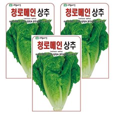 청 로메인 상추 씨앗 상추씨, 3개