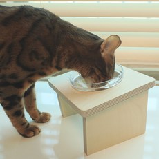 캣츠빌 강아지 고양이 원목식탁 유리볼포함 1구, 1개, 원목+유리볼