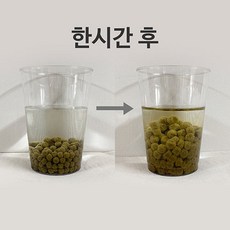 김선욱클라라