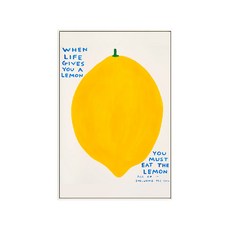 데이비드슈리글리