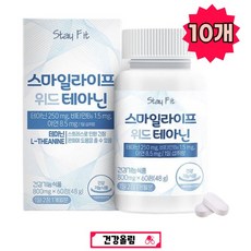 스트레스 케어엔 테아닌 건강 올림 긴장완화 맘 편한 케어 피로회복 스트레스제로 릴렉스 피로 보조제 건강기능식품, 10개, 60정