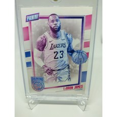 2019 Panini The National CB17 르브론 제임스 Lebron NBA 카드