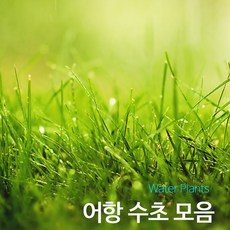 76ca81fc2d676847465f1d72dc3c407679d57eab7ec67efe4032c84ad8cc.jpg