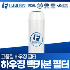 필터탑스 10인치 하우징필터 백카본 필터 단품, 1개