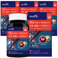 리포퍼철분가득