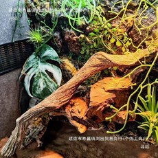 소라게 등반 나무 조경 덩굴 파충류 개구리 은신처, 길이 20cm 두께 3-4cm (단일 가격), 1개